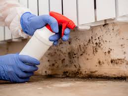 Best Water Damage & Mold Remediation  in Marlton, MD